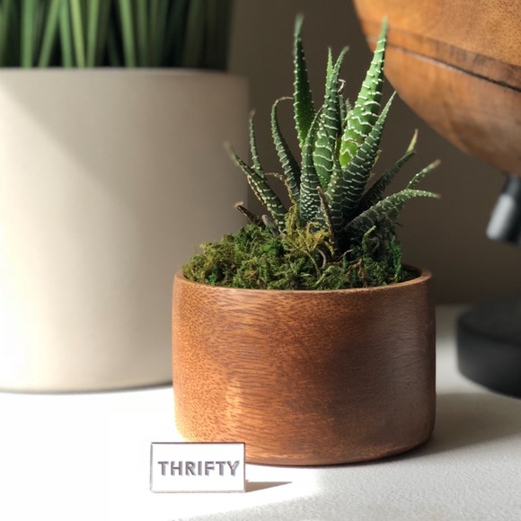 Thrifty โข Posh Swag, Lapel Pin, Free Gift Idea ๐ก - Picture 2 of 8